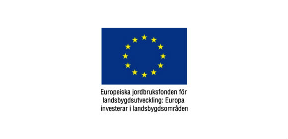 EU logga vit platta 580x281